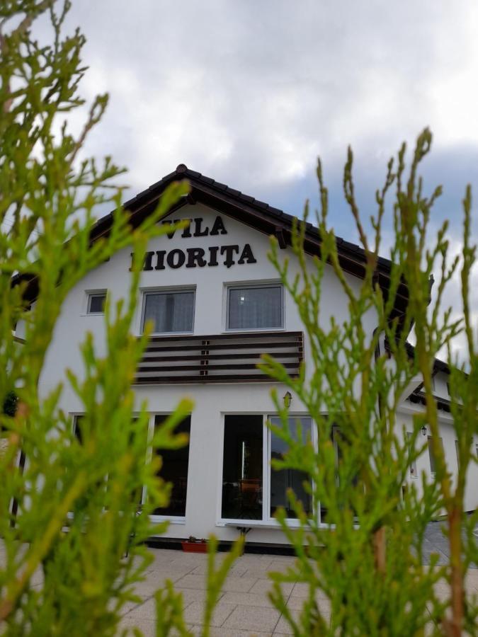 Vila Miorita Sebes  Exterior photo